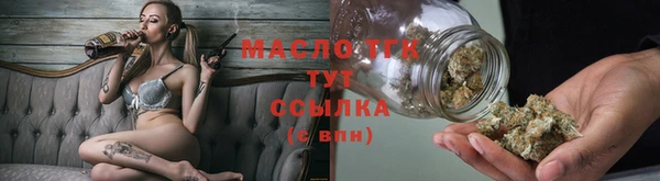 тгк Алексин