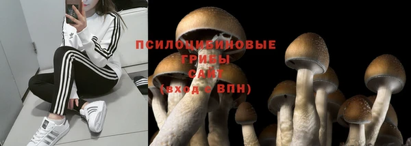 марки lsd Алексеевка