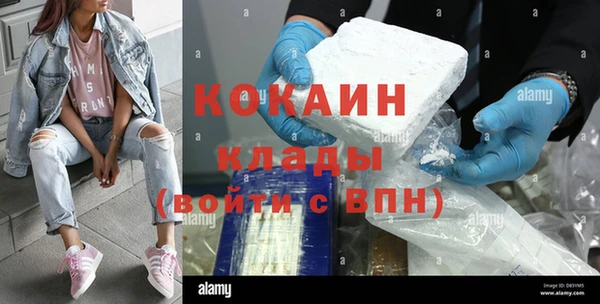 тгк Алексин