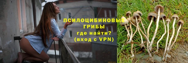 тгк Алексин