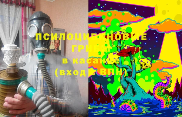 тгк Алексин