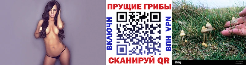 где найти наркотики  Лобня  Псилоцибиновые грибы ЛСД 